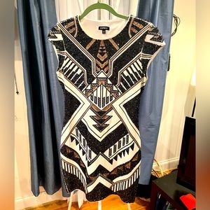 Express Size M sequin bodycon-ish dress (but looser). Worn once.
